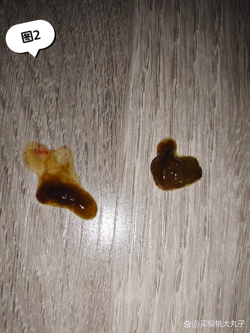 狗狗拉血是怎么回事_狗狗拉血是怎么回事儿 又吐白沫-第3张图片-后鲨宠物 狗狗拉血是怎么回事_狗狗拉血是怎么回事儿 又吐白沫-第3张图片-后鲨宠物