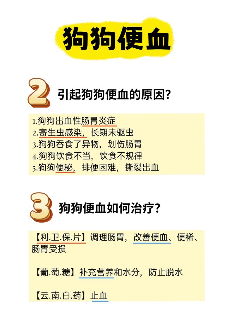 狗狗拉血是怎么回事_狗狗拉血是怎么回事儿 又吐白沫-第4张图片-后鲨宠物 狗狗拉血是怎么回事_狗狗拉血是怎么回事儿 又吐白沫-第4张图片-后鲨宠物