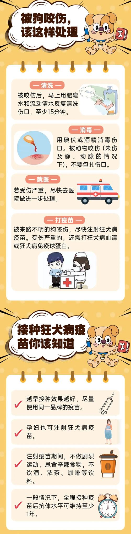 狗狗可以用酒精消毒吗_狗狗可以用医用酒精消毒吗-第6张图片-后鲨宠物 狗狗可以用酒精消毒吗_狗狗可以用医用酒精消毒吗-第6张图片-后鲨宠物