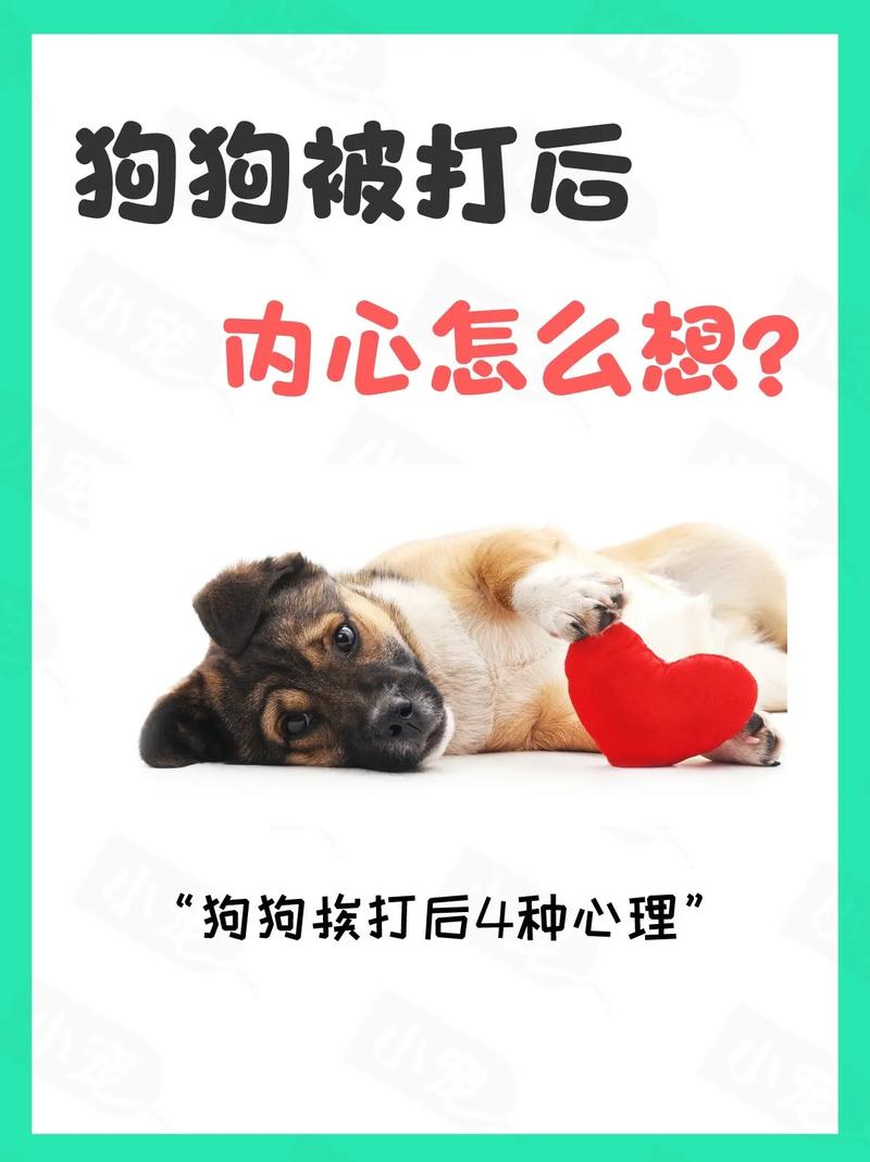 狗狗挨打会记仇吗_狗狗挨打会长记性吗-第4张图片-后鲨宠物 狗狗挨打会记仇吗_狗狗挨打会长记性吗-第4张图片-后鲨宠物