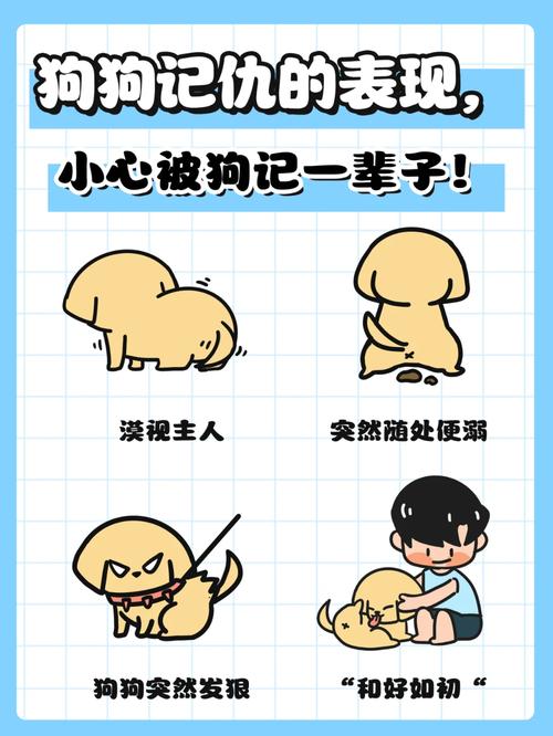 狗狗挨打会记仇吗_狗狗挨打会长记性吗-第6张图片-后鲨宠物 狗狗挨打会记仇吗_狗狗挨打会长记性吗-第6张图片-后鲨宠物