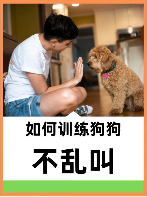 怎样让狗狗不叫_怎样让狗狗不叫唤-第4张图片-后鲨宠物 怎样让狗狗不叫_怎样让狗狗不叫唤-第4张图片-后鲨宠物