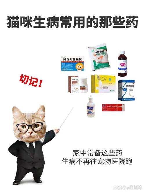 猫咪常见病大全及治疗方法_猫咪常见病大全及治疗方法视频-第3张图片-后鲨宠物 猫咪常见病大全及治疗方法_猫咪常见病大全及治疗方法视频-第3张图片-后鲨宠物