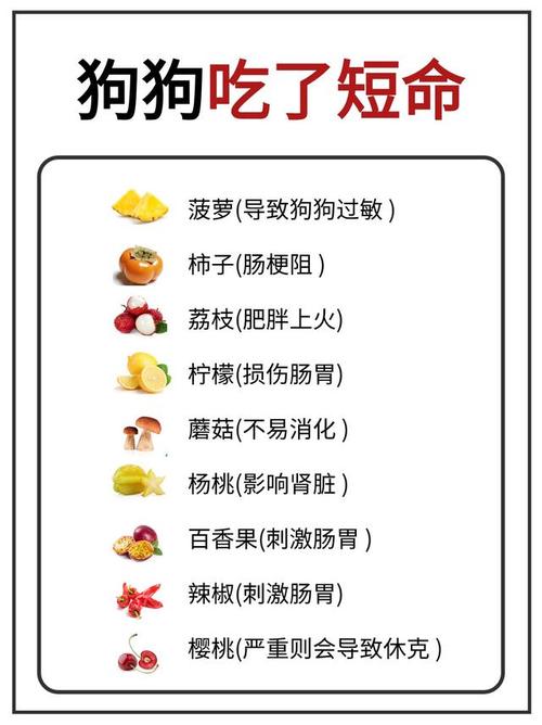 狗狗可以吃白萝卜吗,狗狗可以吃白萝卜吗煮熟的能吃吗?-第3张图片-后鲨宠物 狗狗可以吃白萝卜吗,狗狗可以吃白萝卜吗煮熟的能吃吗?-第3张图片-后鲨宠物