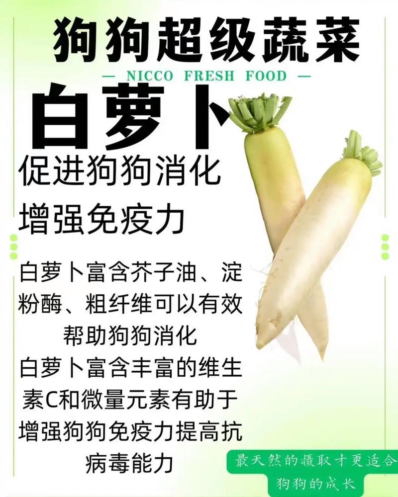 狗狗可以吃白萝卜吗,狗狗可以吃白萝卜吗煮熟的能吃吗?-第5张图片-后鲨宠物 狗狗可以吃白萝卜吗,狗狗可以吃白萝卜吗煮熟的能吃吗?-第5张图片-后鲨宠物