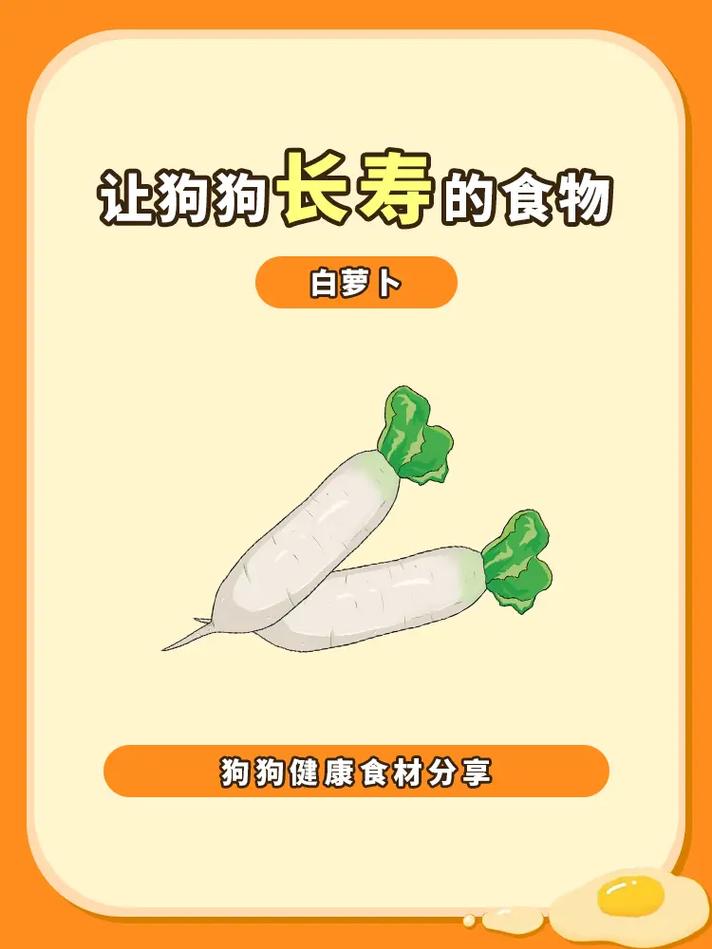 狗狗可以吃白萝卜吗,狗狗可以吃白萝卜吗煮熟的能吃吗?-第4张图片-后鲨宠物 狗狗可以吃白萝卜吗,狗狗可以吃白萝卜吗煮熟的能吃吗?-第4张图片-后鲨宠物