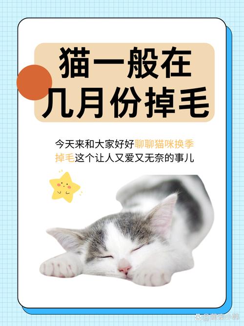  猫咪冬天掉毛吗，猫咪冬天掉毛吗怎么办-第4张图片-后鲨宠物