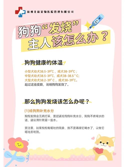  狗狗发高烧怎么退烧快，狗狗发烧了怎么降温-第4张图片-后鲨宠物
