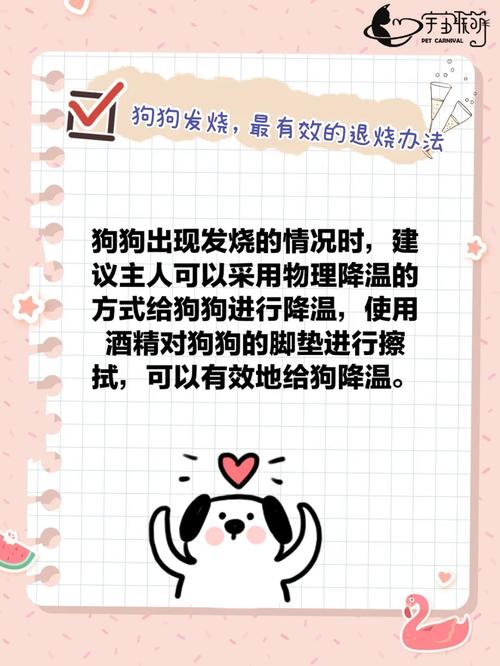  狗狗发高烧怎么退烧快，狗狗发烧了怎么降温-第5张图片-后鲨宠物