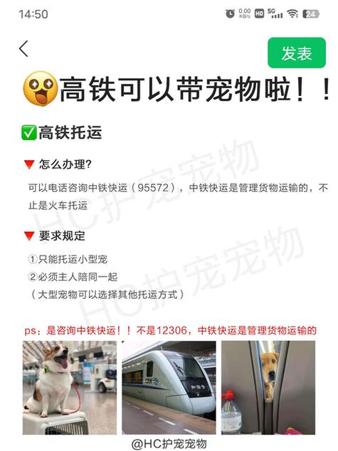 高铁能带狗狗吗,狗狗能不能上高铁-第5张图片-后鲨宠物 高铁能带狗狗吗,狗狗能不能上高铁-第5张图片-后鲨宠物
