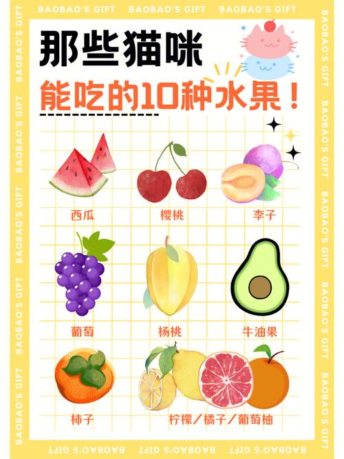 猫咪可以吃什么蔬菜,猫咪可以吃什么蔬菜-第1张图片-后鲨宠物 猫咪可以吃什么蔬菜,猫咪可以吃什么蔬菜-第1张图片-后鲨宠物