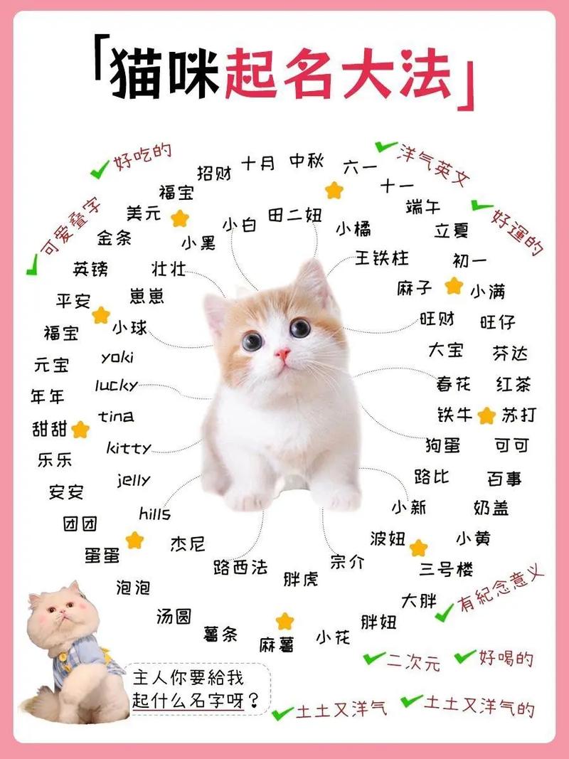 猫猫名字大全洋气的,猫猫咪名字大全?-第1张图片-后鲨宠物 猫猫名字大全洋气的,猫猫咪名字大全?-第1张图片-后鲨宠物