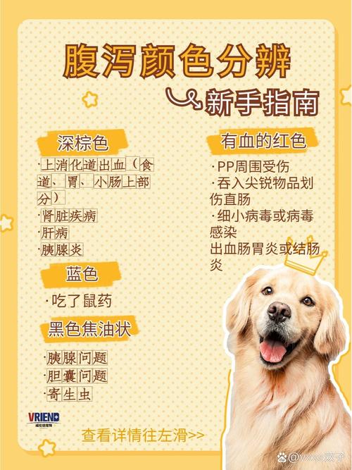 狗狗哺乳期拉稀怎么办,狗狗哺乳期间拉稀怎么办?-第4张图片-后鲨宠物 狗狗哺乳期拉稀怎么办,狗狗哺乳期间拉稀怎么办?-第4张图片-后鲨宠物