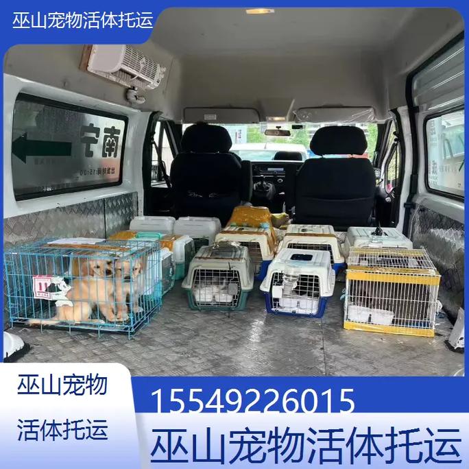 寄狗狗用什么快递公司_寄狗狗的快递-第2张图片-后鲨宠物 寄狗狗用什么快递公司_寄狗狗的快递-第2张图片-后鲨宠物