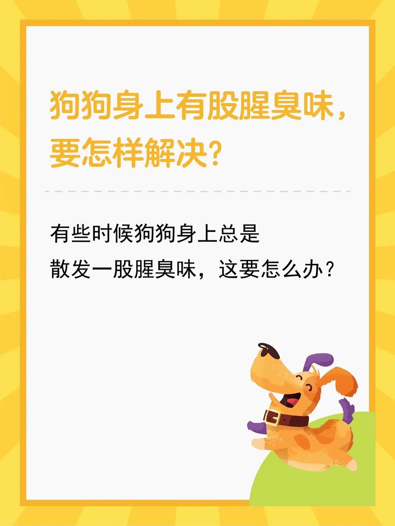 狗狗身上有腥味是怎么回事,狗狗身上有腥味是怎么回事儿?-第5张图片-后鲨宠物 狗狗身上有腥味是怎么回事,狗狗身上有腥味是怎么回事儿?-第5张图片-后鲨宠物
