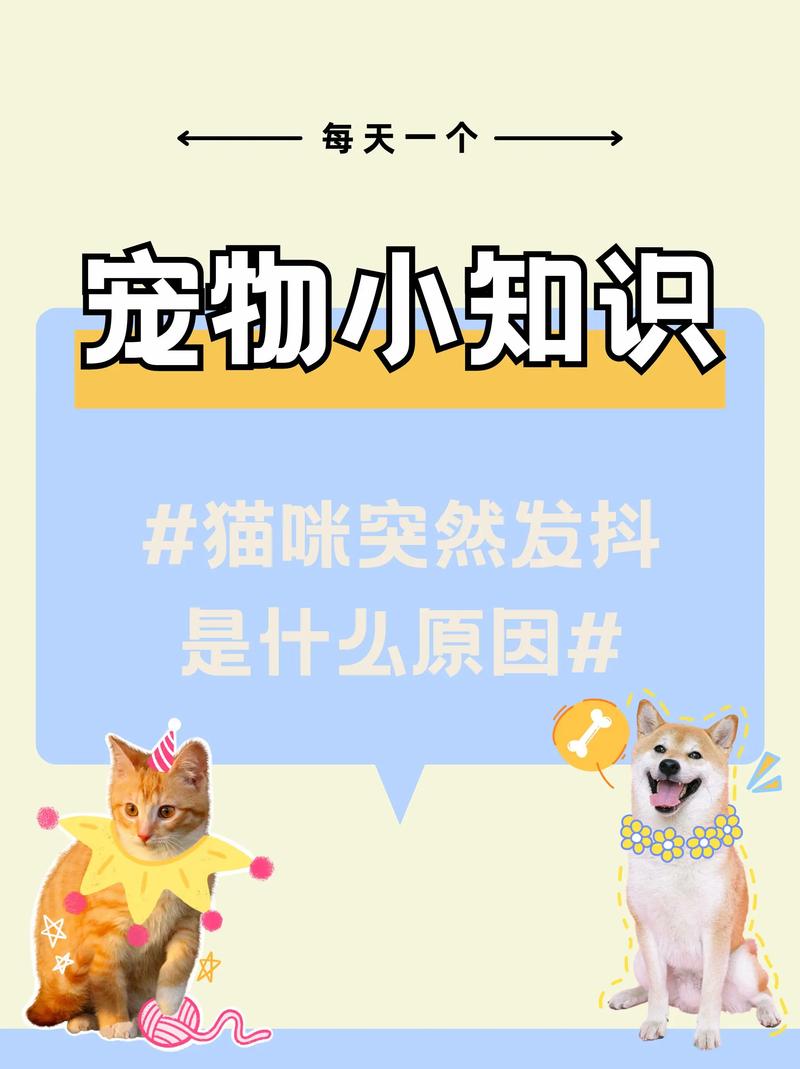 猫咪发抖是怎么回事,猫咪发抖是怎么回事是应激反应吗?-第3张图片-后鲨宠物 猫咪发抖是怎么回事,猫咪发抖是怎么回事是应激反应吗?-第3张图片-后鲨宠物
