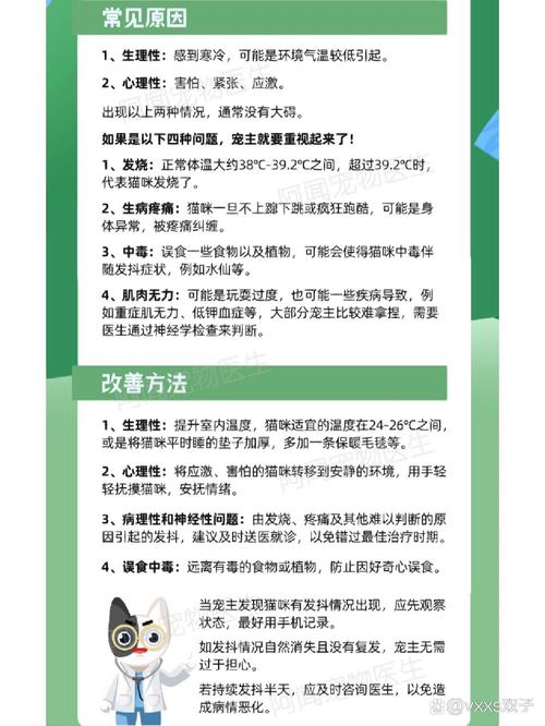 猫咪发抖是怎么回事,猫咪发抖是怎么回事是应激反应吗?-第4张图片-后鲨宠物 猫咪发抖是怎么回事,猫咪发抖是怎么回事是应激反应吗?-第4张图片-后鲨宠物