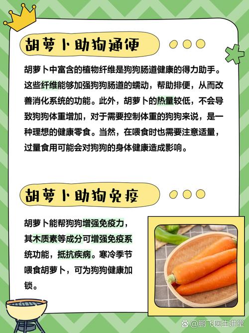 狗狗可以吃萝卜吗_狗狗可以吃萝卜吗生的-第5张图片-后鲨宠物 狗狗可以吃萝卜吗_狗狗可以吃萝卜吗生的-第5张图片-后鲨宠物