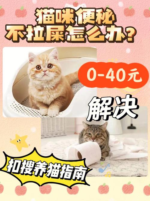 猫咪不拉屎怎么办,猫咪不拉屎怎么办肚子鼓鼓的?-第4张图片-后鲨宠物 猫咪不拉屎怎么办,猫咪不拉屎怎么办肚子鼓鼓的?-第4张图片-后鲨宠物