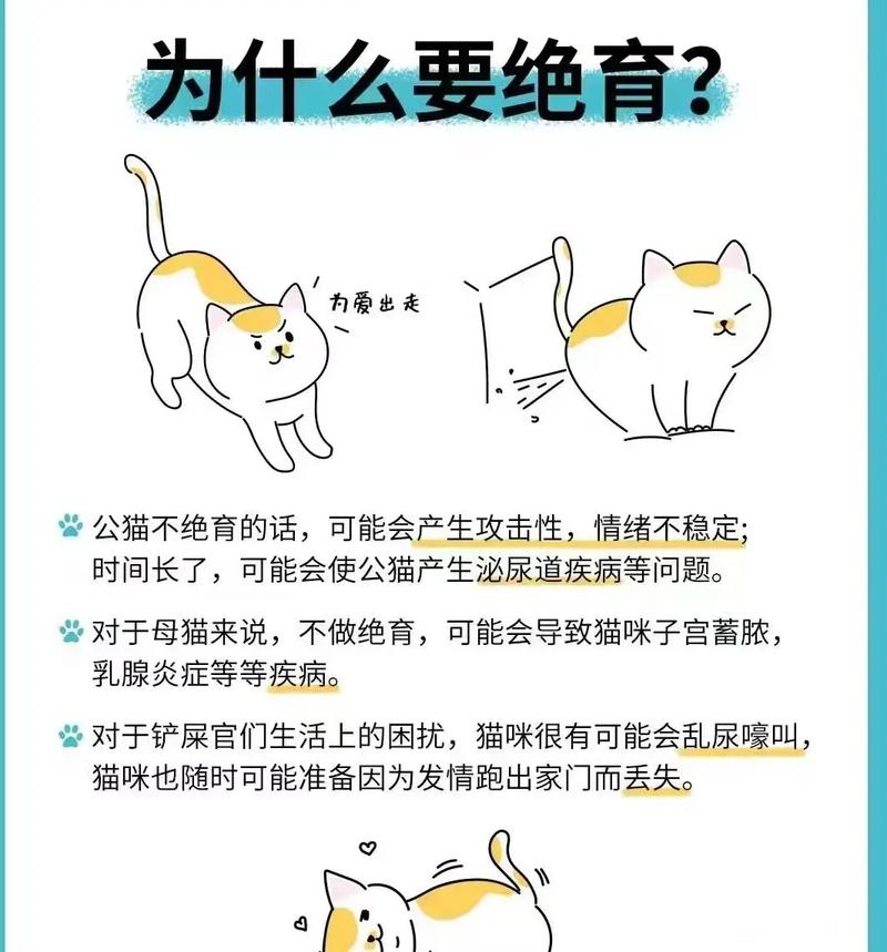 为什么要给猫咪做绝育,为什么都要给猫做绝育?-第6张图片-后鲨宠物 为什么要给猫咪做绝育,为什么都要给猫做绝育?-第6张图片-后鲨宠物
