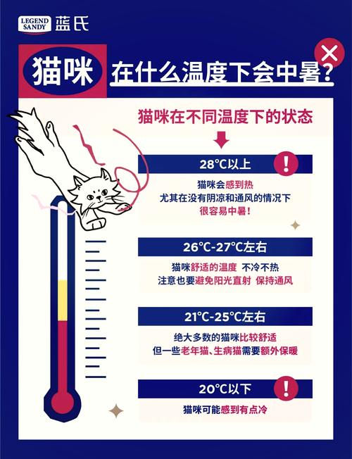 猫咪体温高怎么办_猫咪体温特别高-第6张图片-后鲨宠物 猫咪体温高怎么办_猫咪体温特别高-第6张图片-后鲨宠物