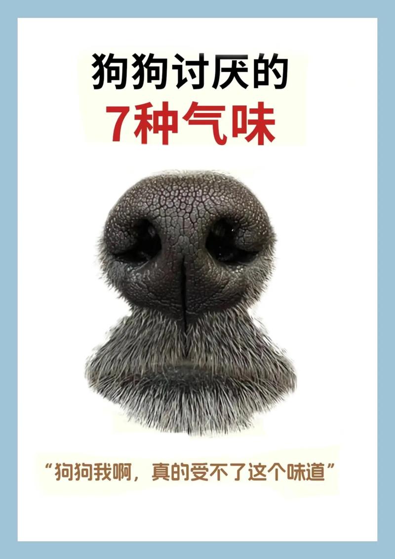 狗狗可以闻花露水吗,狗可以闻花露水的味道嘛?-第2张图片-后鲨宠物 狗狗可以闻花露水吗,狗可以闻花露水的味道嘛?-第2张图片-后鲨宠物