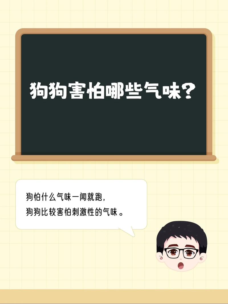 狗狗可以闻花露水吗,狗可以闻花露水的味道嘛?-第6张图片-后鲨宠物 狗狗可以闻花露水吗,狗可以闻花露水的味道嘛?-第6张图片-后鲨宠物
