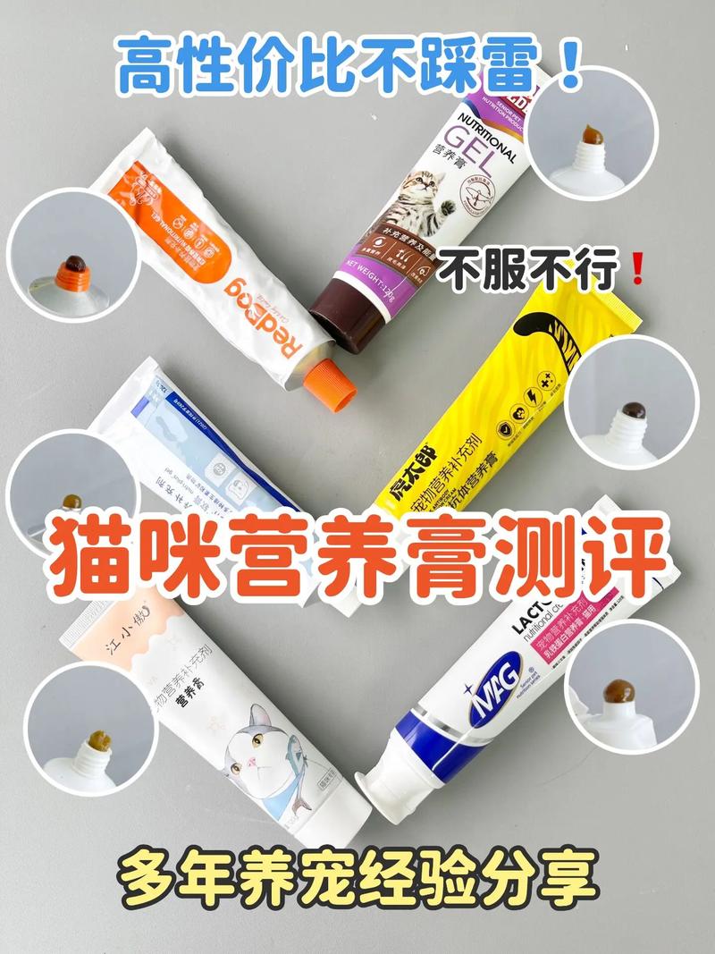 猫咪有必要吃营养膏吗,猫咪平时有必要吃营养膏吗?-第1张图片-后鲨宠物 猫咪有必要吃营养膏吗,猫咪平时有必要吃营养膏吗?-第1张图片-后鲨宠物