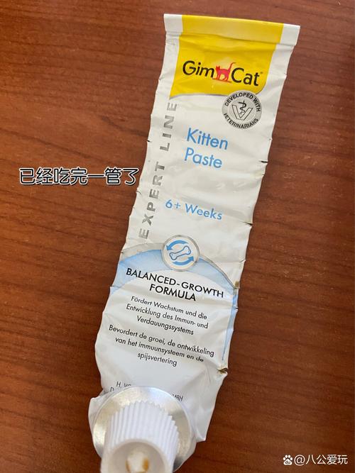 猫咪有必要吃营养膏吗,猫咪平时有必要吃营养膏吗?-第6张图片-后鲨宠物 猫咪有必要吃营养膏吗,猫咪平时有必要吃营养膏吗?-第6张图片-后鲨宠物