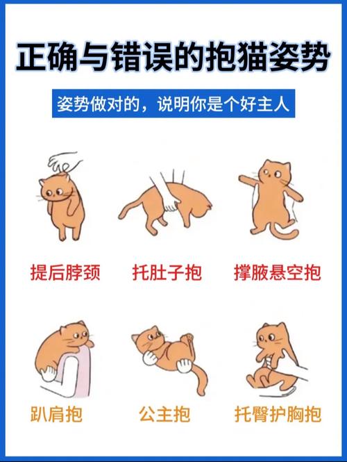 猫咪难受的姿势_猫难受时候的睡姿-第1张图片-后鲨宠物 猫咪难受的姿势_猫难受时候的睡姿-第1张图片-后鲨宠物