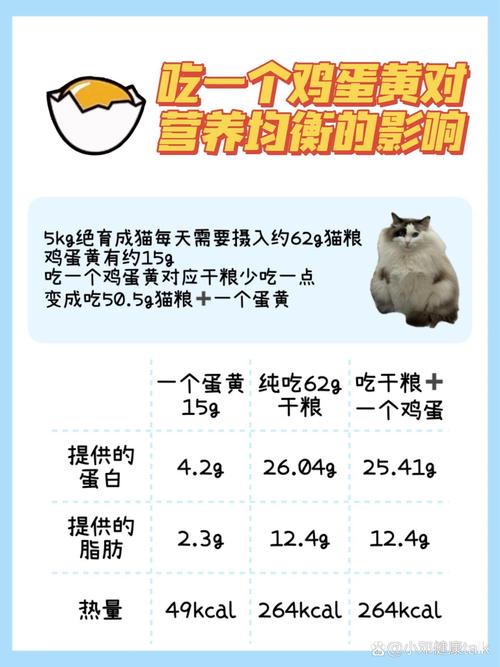 猫咪可以吃鸡蛋黄吗,猫咪吃鸡蛋吗-第5张图片-后鲨宠物 猫咪可以吃鸡蛋黄吗,猫咪吃鸡蛋吗-第5张图片-后鲨宠物