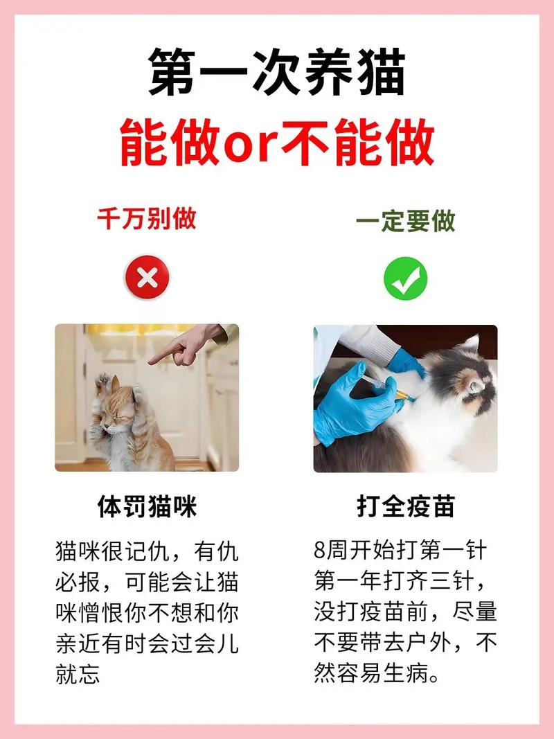 猫咪胆子小怎么办_猫咪胆子小怎么办训练出门-第2张图片-后鲨宠物 猫咪胆子小怎么办_猫咪胆子小怎么办训练出门-第2张图片-后鲨宠物