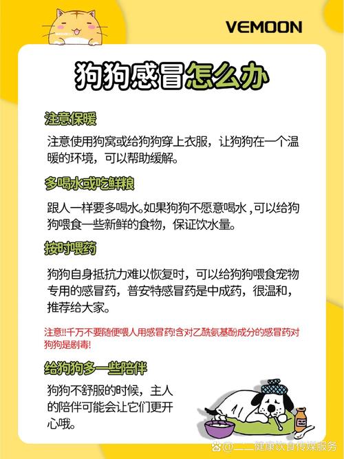 狗狗怀孕发烧怎么退烧_狗狗怀孕发烧了吃什么药-第5张图片-后鲨宠物 狗狗怀孕发烧怎么退烧_狗狗怀孕发烧了吃什么药-第5张图片-后鲨宠物