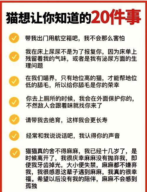 猫咪不叫是怎么回事,猫咪不叫是什么原因?-第4张图片-后鲨宠物 猫咪不叫是怎么回事,猫咪不叫是什么原因?-第4张图片-后鲨宠物