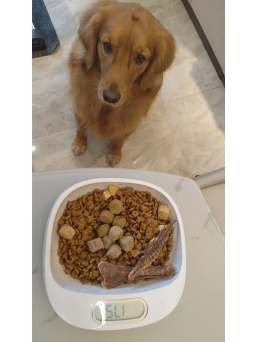 狗狗可以喝麦片吗,狗狗可以喝麦片粥吗-第2张图片-后鲨宠物 狗狗可以喝麦片吗,狗狗可以喝麦片粥吗-第2张图片-后鲨宠物