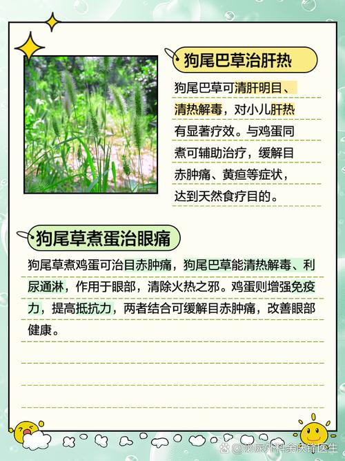 狗狗吃了葱怎么办,狗吃了点葱怎么办?-第4张图片-后鲨宠物 狗狗吃了葱怎么办,狗吃了点葱怎么办?-第4张图片-后鲨宠物