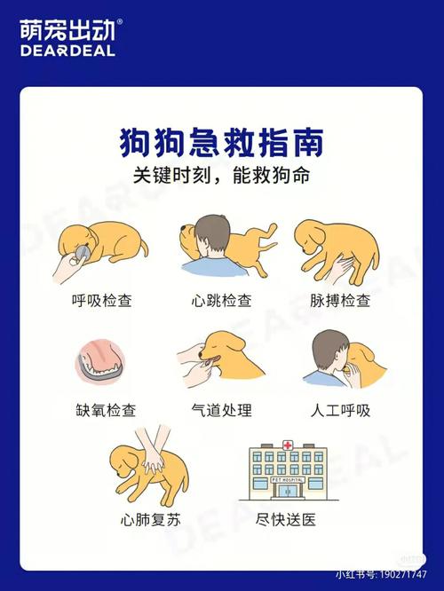 狗狗缺钙怎么办_狗狗缺钙怎么办,狗狗补钙的小窍门-第1张图片-后鲨宠物 狗狗缺钙怎么办_狗狗缺钙怎么办,狗狗补钙的小窍门-第1张图片-后鲨宠物