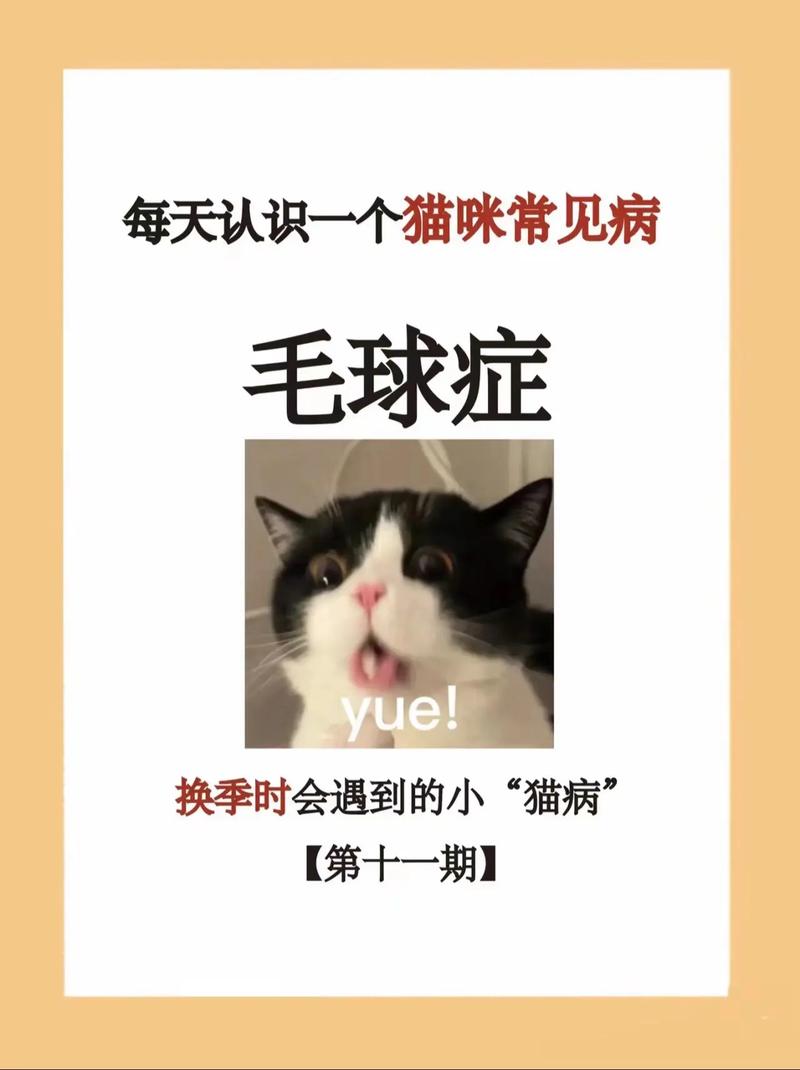 猫咪得了毛球症怎么治,猫咪得了毛球症怎么治疗比较好-第3张图片-后鲨宠物 猫咪得了毛球症怎么治,猫咪得了毛球症怎么治疗比较好-第3张图片-后鲨宠物