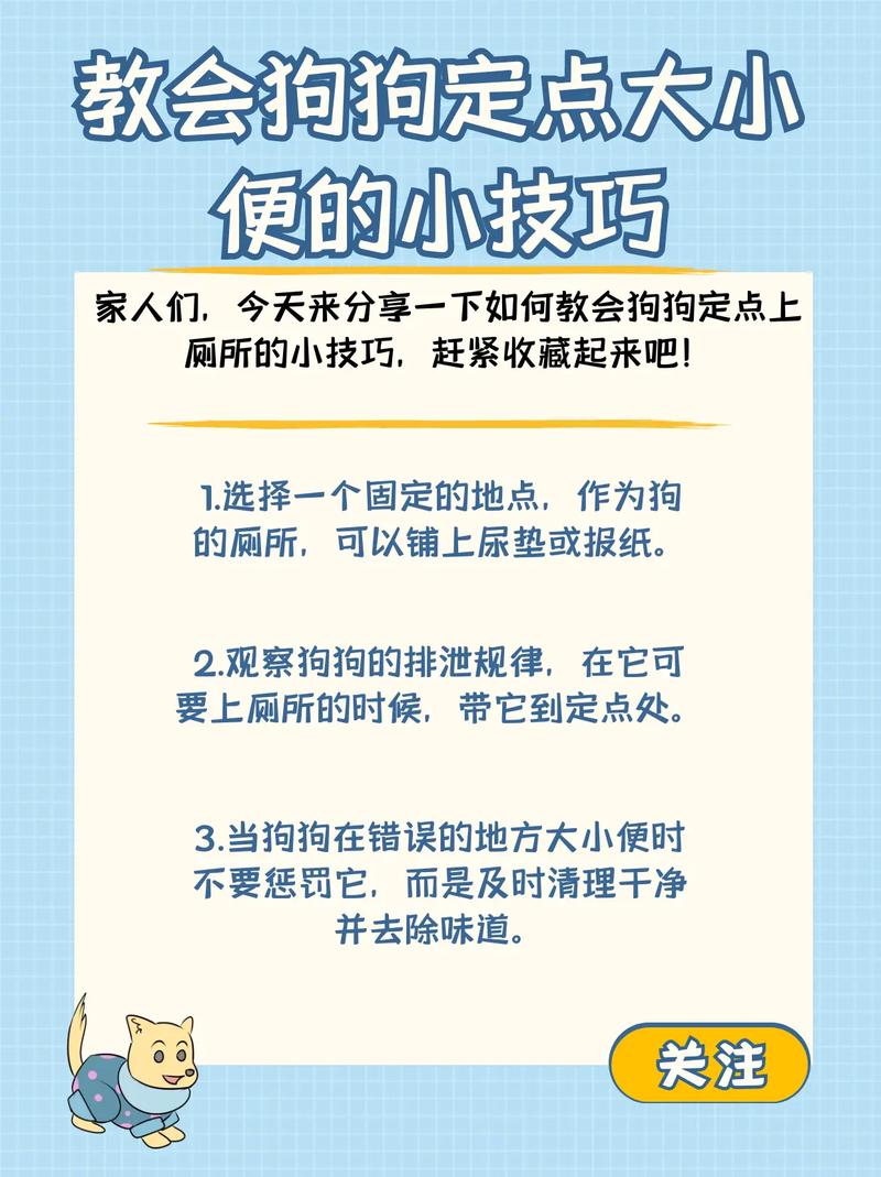 怎么教狗狗定点排便,怎么教狗狗定点排便视频-第5张图片-后鲨宠物 怎么教狗狗定点排便,怎么教狗狗定点排便视频-第5张图片-后鲨宠物