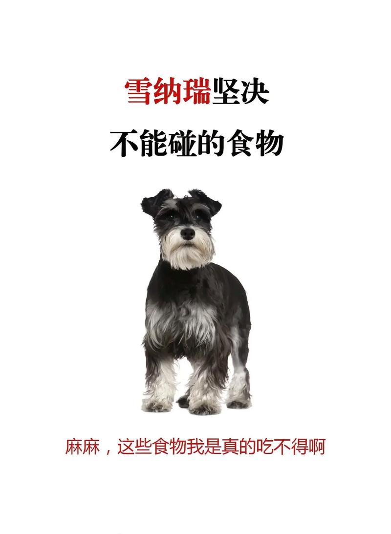 狗狗能吃燕麦片吗,狗狗能吃燕麦不?-第3张图片-后鲨宠物 狗狗能吃燕麦片吗,狗狗能吃燕麦不?-第3张图片-后鲨宠物