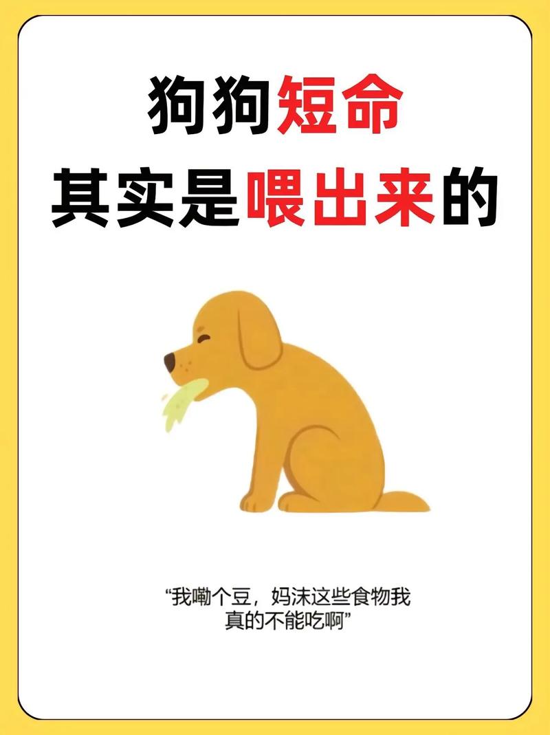 狗狗能吃燕麦片吗,狗狗能吃燕麦不?-第2张图片-后鲨宠物 狗狗能吃燕麦片吗,狗狗能吃燕麦不?-第2张图片-后鲨宠物