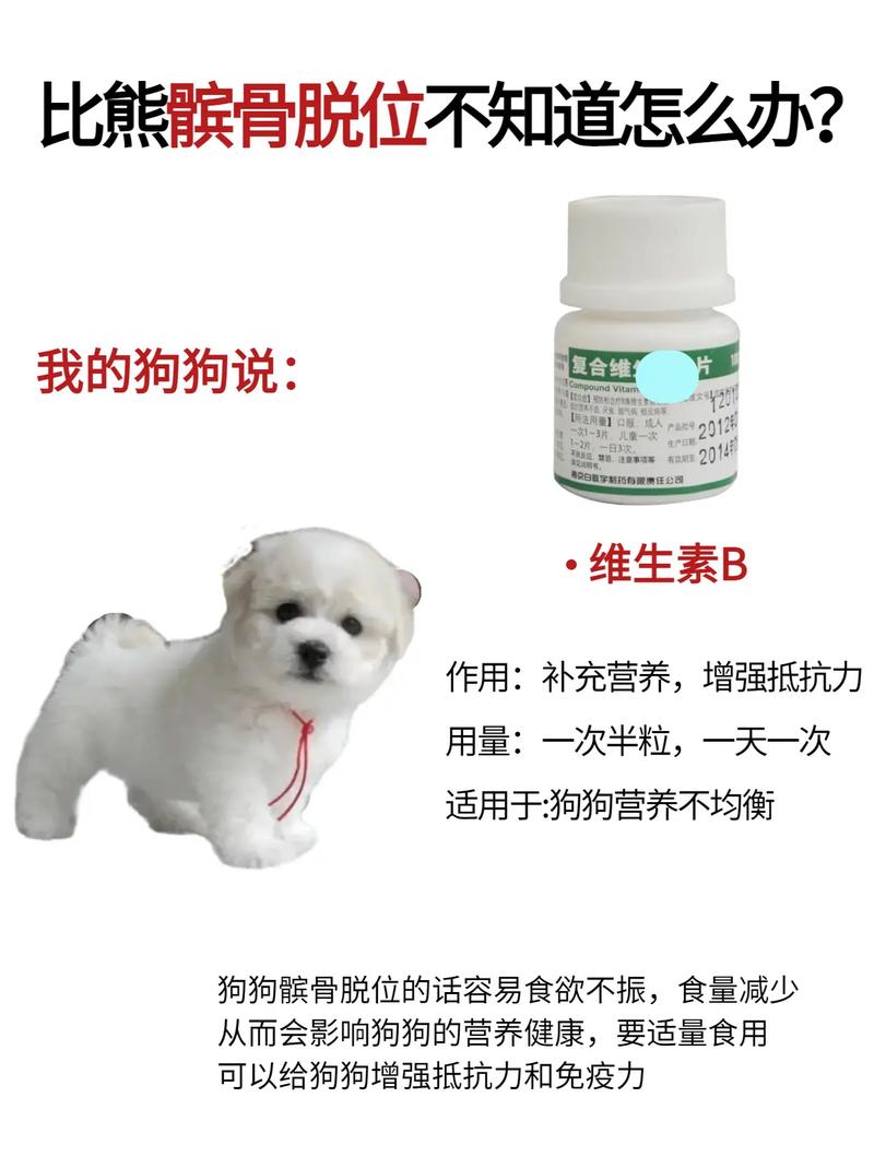 狗狗软骨病怎么治_狗狗软骨病怎么治疗比较好-第1张图片-后鲨宠物 狗狗软骨病怎么治_狗狗软骨病怎么治疗比较好-第1张图片-后鲨宠物