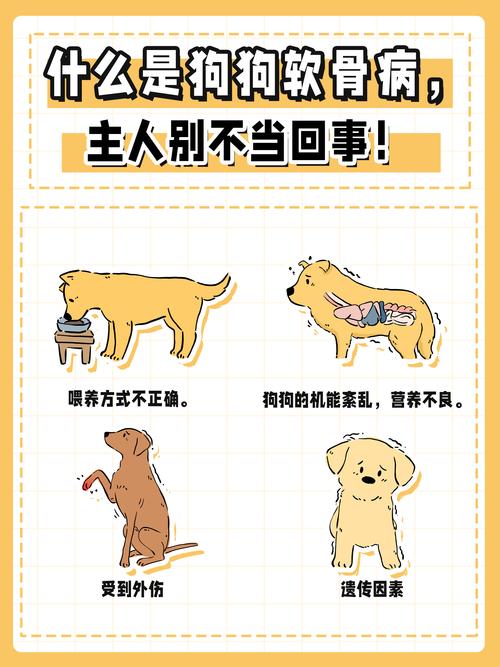 狗狗软骨病怎么治_狗狗软骨病怎么治疗比较好-第2张图片-后鲨宠物 狗狗软骨病怎么治_狗狗软骨病怎么治疗比较好-第2张图片-后鲨宠物