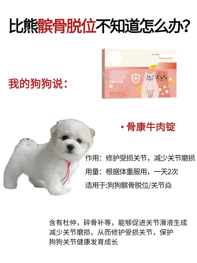 狗狗软骨病怎么治_狗狗软骨病怎么治疗比较好-第3张图片-后鲨宠物 狗狗软骨病怎么治_狗狗软骨病怎么治疗比较好-第3张图片-后鲨宠物