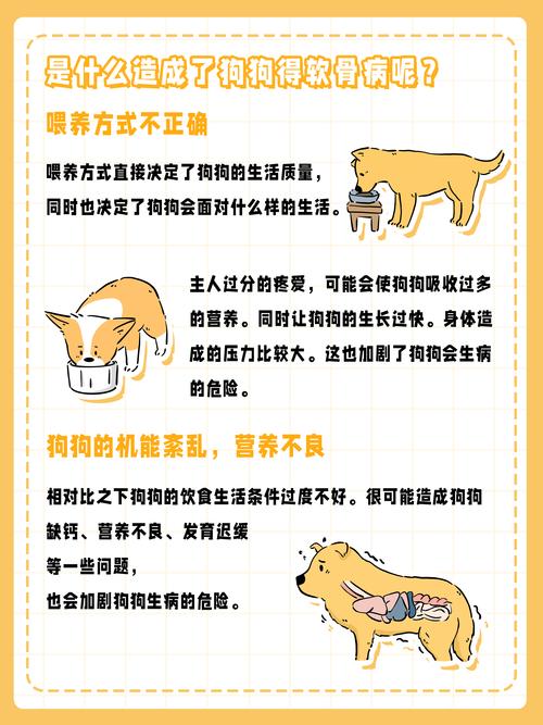 狗狗软骨病怎么治_狗狗软骨病怎么治疗比较好-第6张图片-后鲨宠物 狗狗软骨病怎么治_狗狗软骨病怎么治疗比较好-第6张图片-后鲨宠物