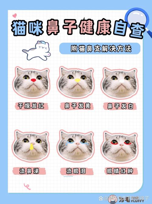 猫咪鼻子干燥没精神_猫咪鼻子干燥没精神什么问题-第4张图片-后鲨宠物 猫咪鼻子干燥没精神_猫咪鼻子干燥没精神什么问题-第4张图片-后鲨宠物