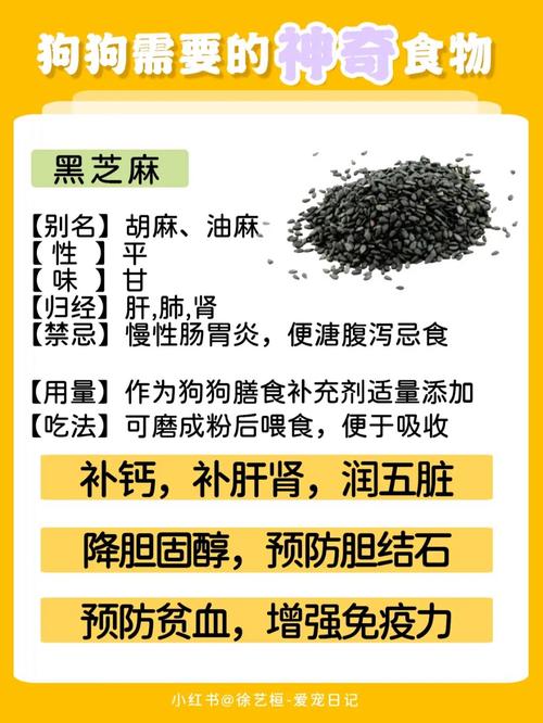 狗狗吃黑芝麻的好处,狗吃黑芝麻对黑鼻头有效果么-第2张图片-后鲨宠物 狗狗吃黑芝麻的好处,狗吃黑芝麻对黑鼻头有效果么-第2张图片-后鲨宠物