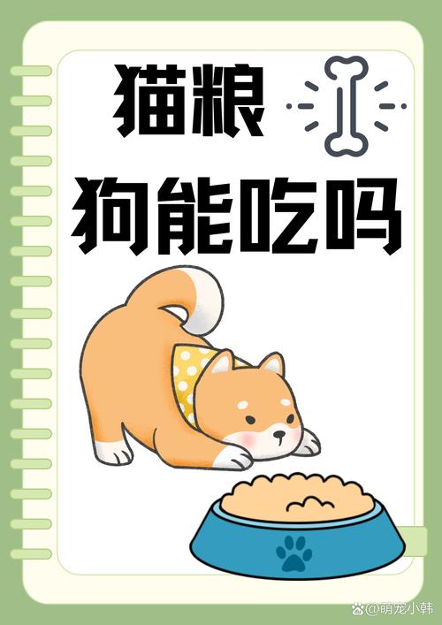 猫粮狗狗可以吃吗_猫咪可以两种猫粮混着吃吗-第2张图片-后鲨宠物 猫粮狗狗可以吃吗_猫咪可以两种猫粮混着吃吗-第2张图片-后鲨宠物