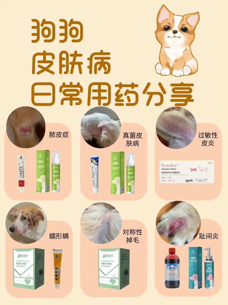 狗狗皮肤病吃什么药好,狗狗皮肤病吃什么药好得最快?-第5张图片-后鲨宠物 狗狗皮肤病吃什么药好,狗狗皮肤病吃什么药好得最快?-第5张图片-后鲨宠物