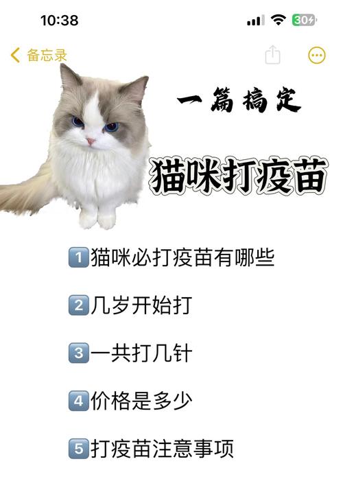 猫咪要打几次疫苗，猫咪要打几次疫苗多少钱？-第6张图片-后鲨宠物